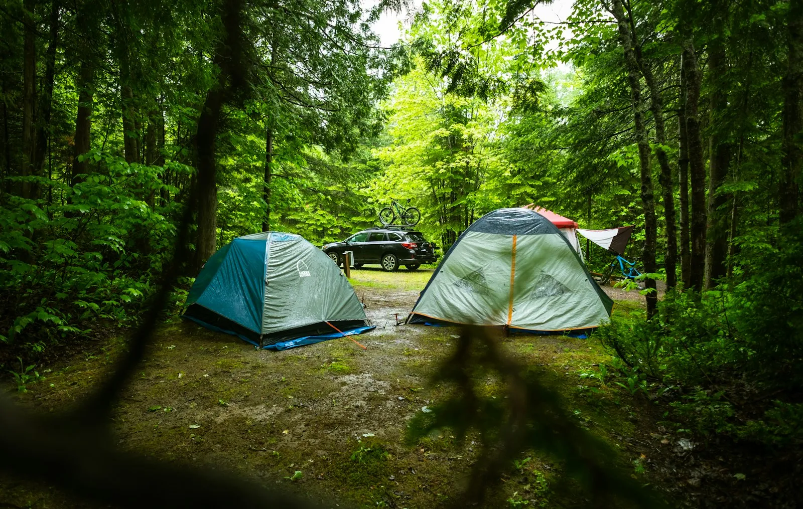 Tente de camping sous la pluie avec gouttes sur le double-toit en forêt
