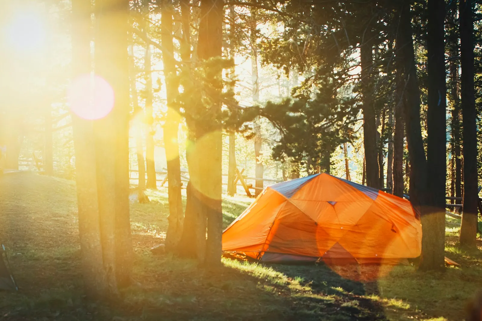 Tente de camping dressée dans une clairière au coucher du soleil