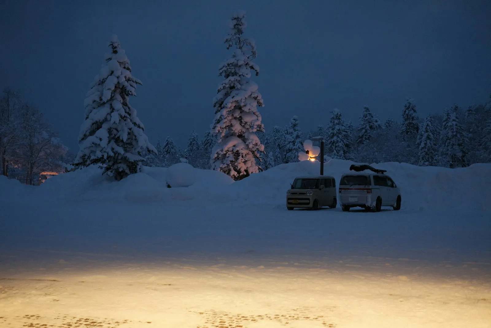 Deux petits véhicules garés de nuit sur un parking enneigé, sapins couverts de neige et lampadaire derrière