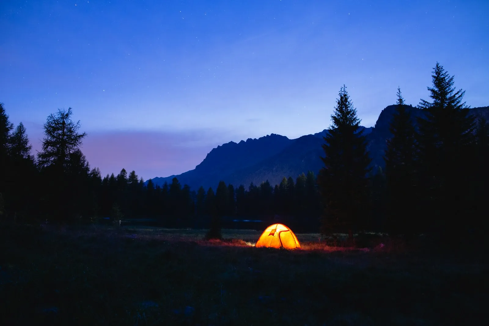 Tente de camping orange dressée en pleine forêt, silhouettes d'arbres à l'heure bleue